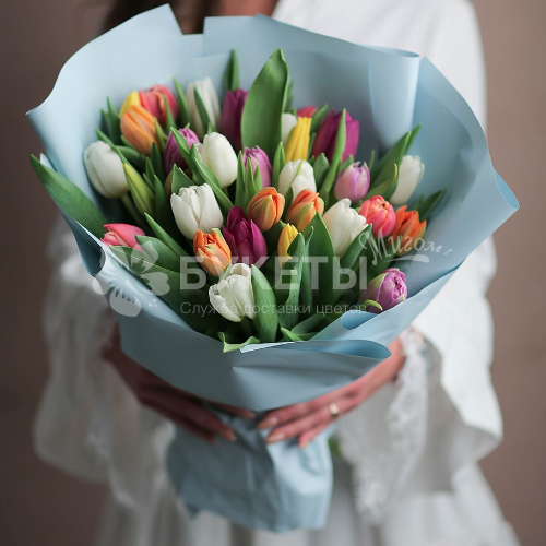 Букет из 27 тюльпанов микс