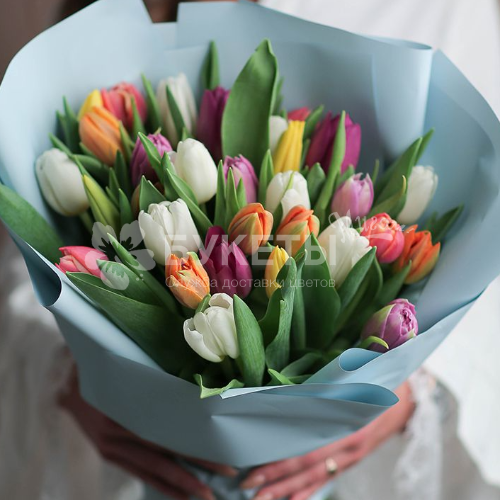 Букет из 27 тюльпанов микс