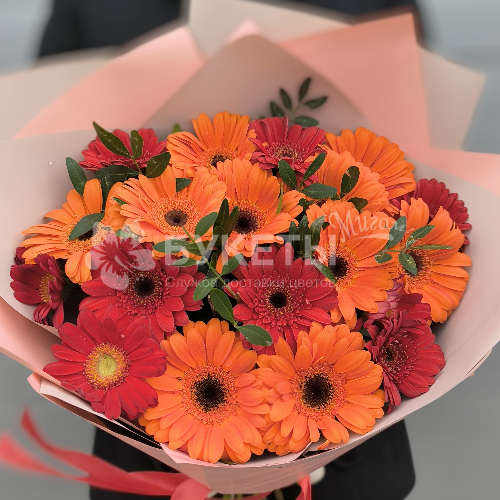 Букет из 19 оранжевых и красных гербер