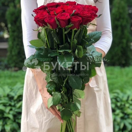 Букет из 21 красной высокой розы Prestige
