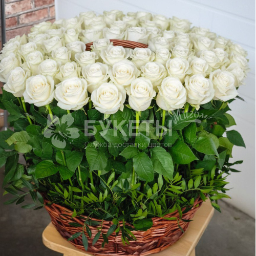 Корзина из 101 белой розы "Поцелуй Сен‑Жермен"