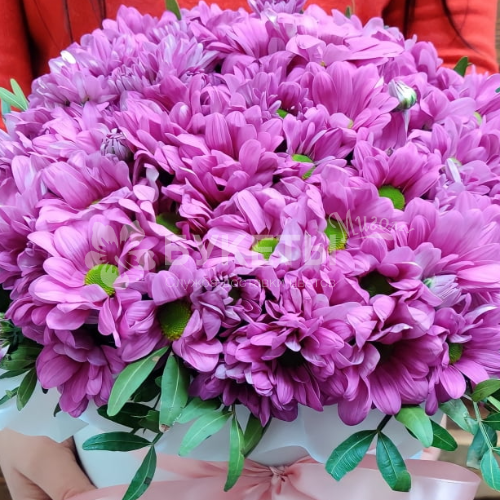 9 розовых хризантем в белой шляпной коробке №26