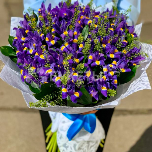 Букет из 51 ириса с гринбеллом