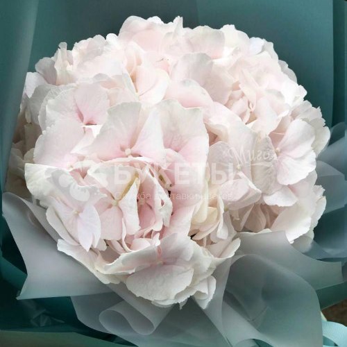 Букет "Белая гортензия"