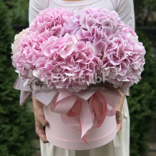 9 розовых гортензий в шляпной коробке №20