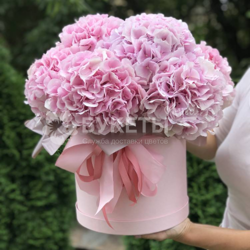 9 розовых гортензий в шляпной коробке №20