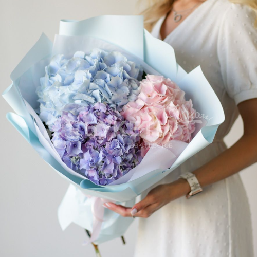 Букет из гортензий в нежных тонах