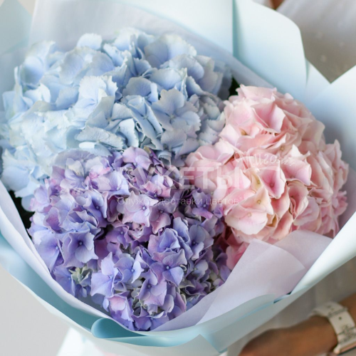 Букет из гортензий в нежных тонах