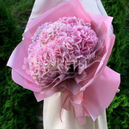 Букет из 5 розовых гортензий