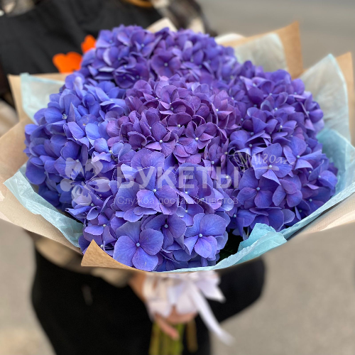 Букет из 7 синих гортензий