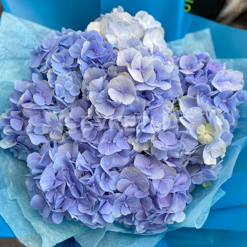 Букет с гортензией "Бархатистый звон"