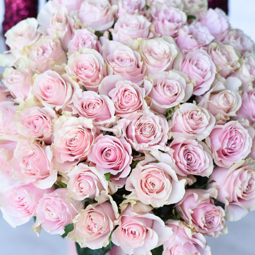 Букет из 51 высокой розы "Пинк Монидаль" Premium