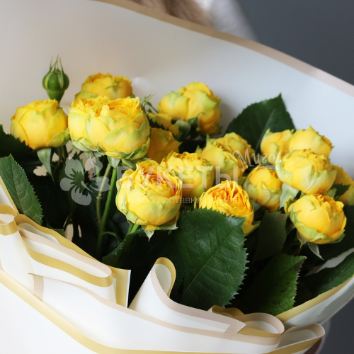 Букет из 5 желтых кустовых пионовидных роз "Пиони Баблс"
