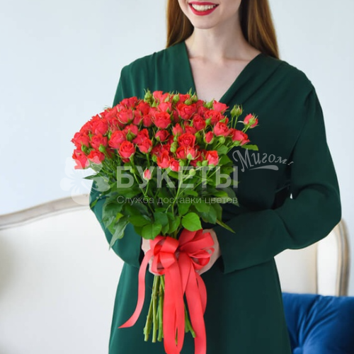 Букет из 35 красных кустовых роз