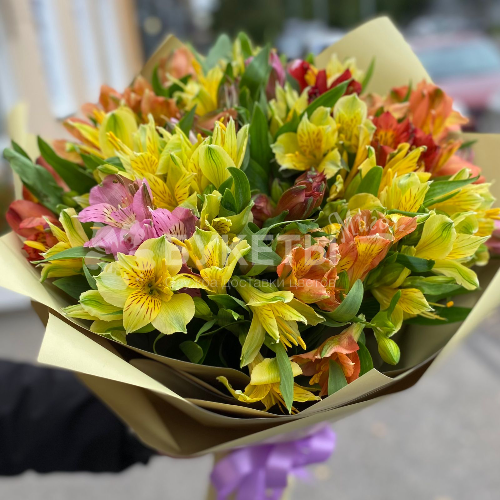 Букет из 25 альстромерий