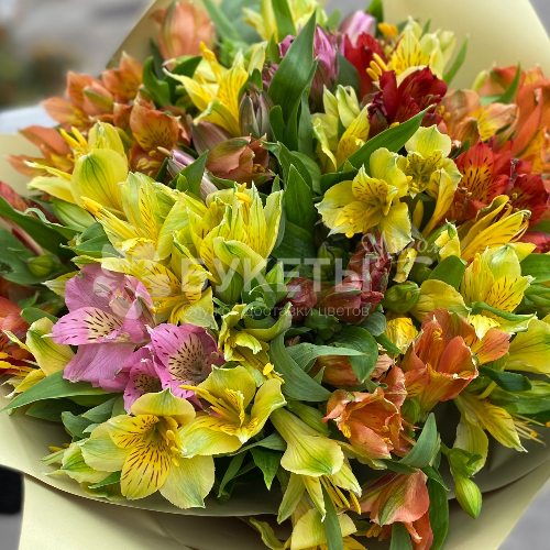 Букет из 25 альстромерий