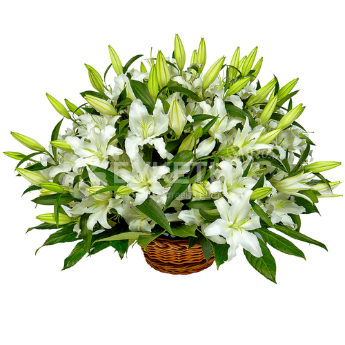 Корзина с белыми лилиями