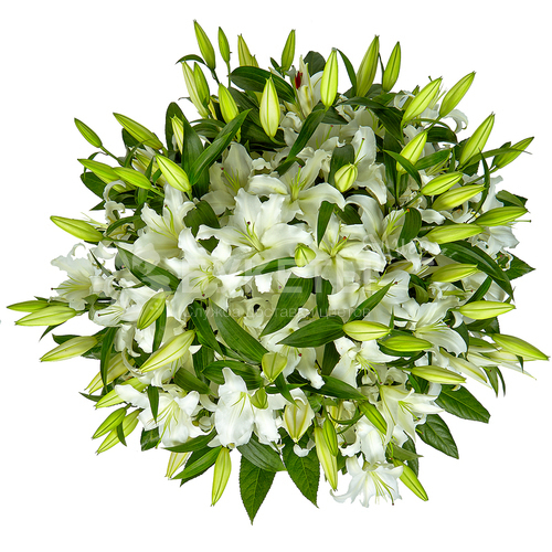 Корзина с белыми лилиями