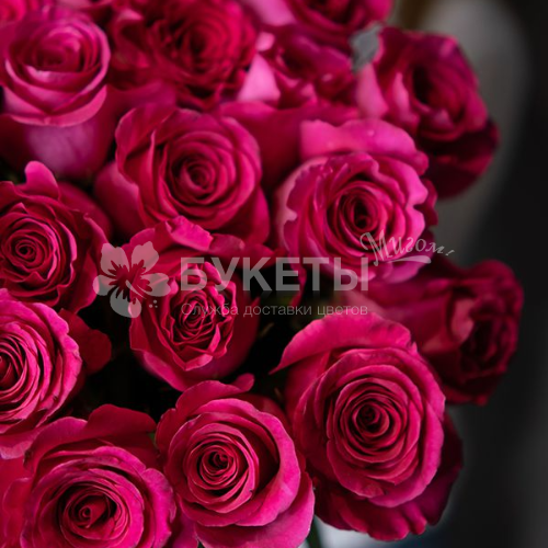 Букет из 25 розовых роз