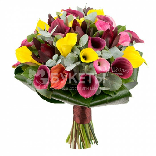 Букет из 25 калл микс