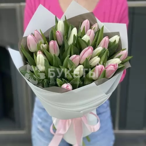 Букет из 25 розовых и белых тюльпанов