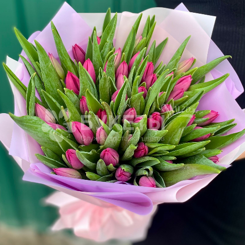 Букет из 51 тюльпана в сиреневой упаковке