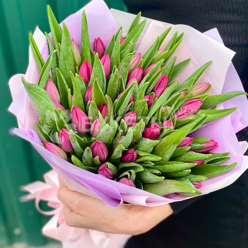 Букет из 51 тюльпана в сиреневой упаковке