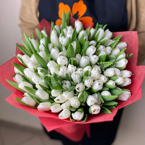 Букет из 101 белого тюльпана