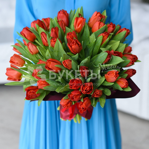 Букет из 51 красного тюльпана
