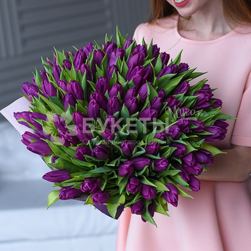 Букет из 101 фиолетового тюльпана