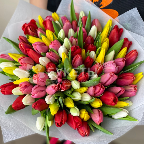 Букет из 101 тюльпана микс