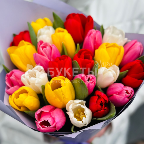 Букет из 25 ярких тюльпанов