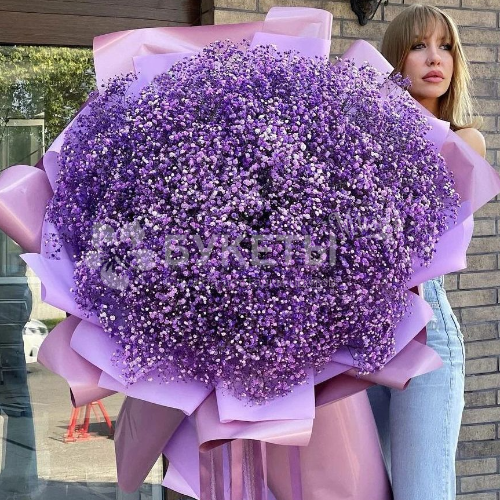 Букет из 35 фиолетовых гипсофил