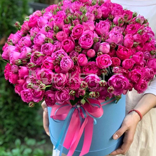51 пионовидная малиновая роза в шляпной коробке
