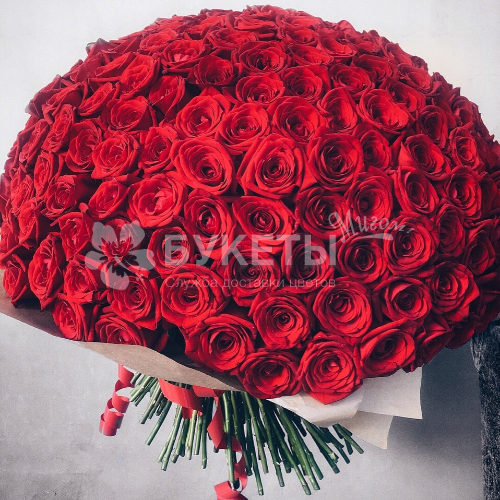 Букет из 151 красной розы