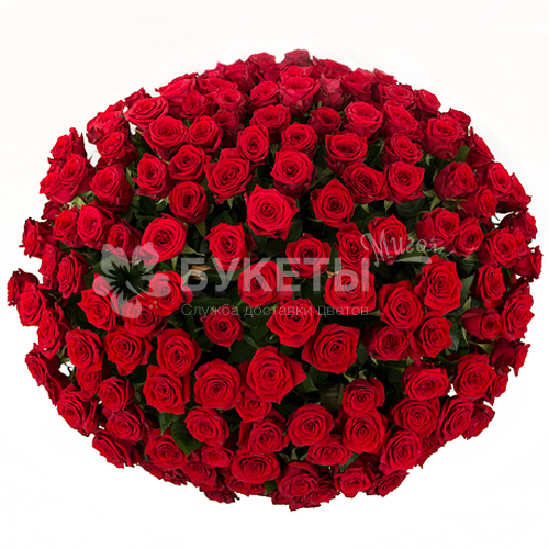 Корзина из 201 красной розы