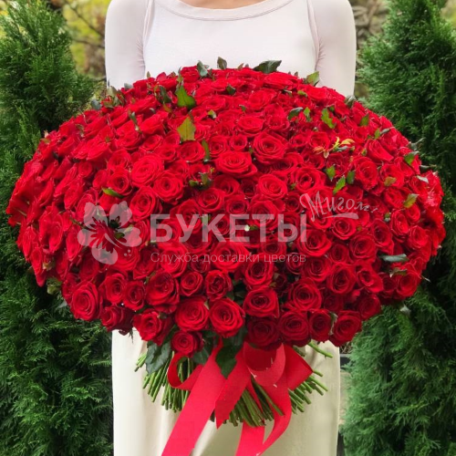 Букет из 301 красной розы