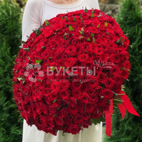 Букет из 301 красной розы