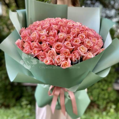 Букет из 101 коралловой розы Мисс Пигги
