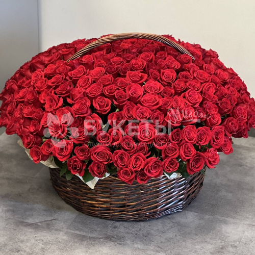 Корзина из 301 красной розы
