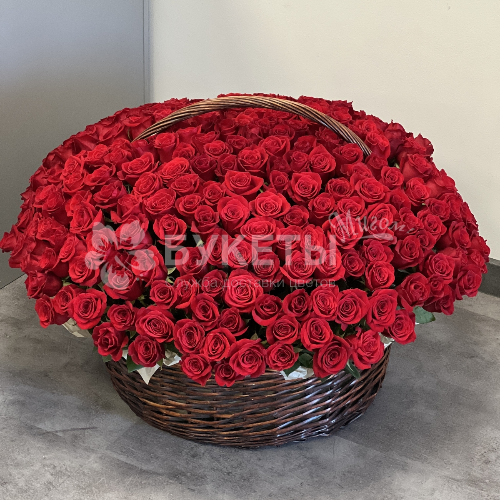 Корзина из 301 красной розы