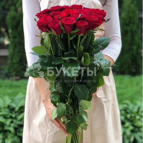 Букет из 19 красных высоких роз VIP