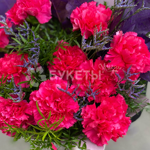 Букет из 11 гвоздик