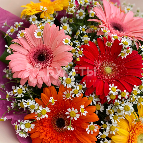 Букет "Поле из ромашек"