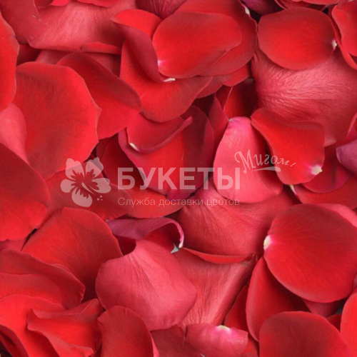 Лепестки красных роз 3 литра