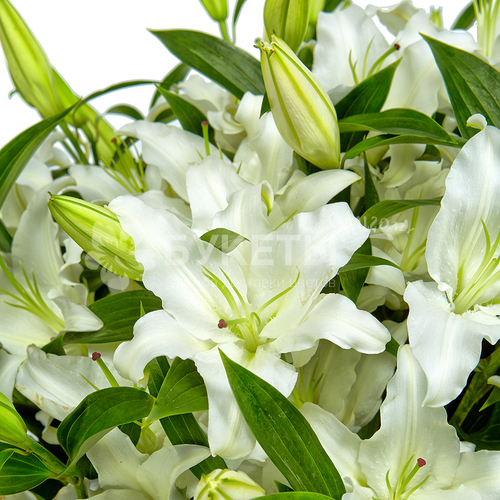 Корзина с белыми лилиями