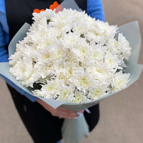 Букет из кустовых хризантем "Балтика"