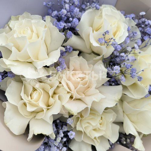 Букет из французских белых роз и гипсофилы