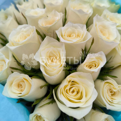 Букет из 35 белых роз "Кения"