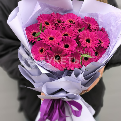 Букет из 19 фиолетовых гербер Premium